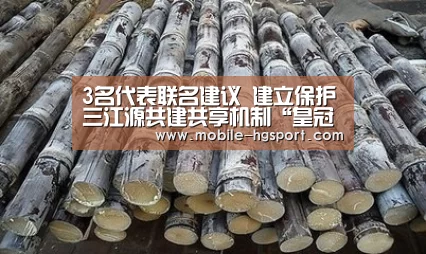 3名代表联名建议 建立保护三江源共建共享机制“皇冠体育官网”(图2) 皇冠体育官网
