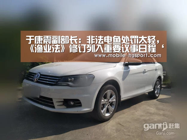 于康震副部长:非法电鱼处罚太轻,《渔业法》修订列入重要议事日程‘皇冠体育’(图4) 皇冠体育