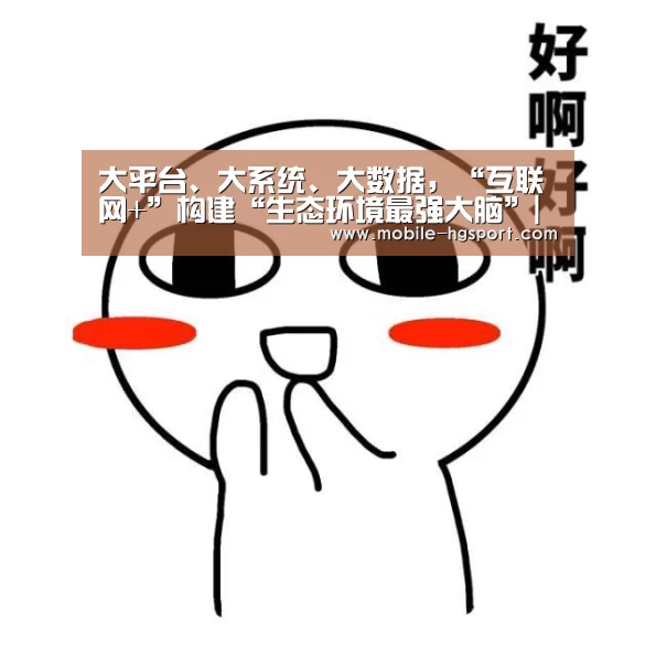 大平台、大系统、大数据,“互联网+”构建“生态环境最强大脑”|皇冠体育(图1) 皇冠体育下载